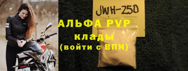 стаф Верея