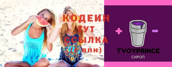 стаф Верея