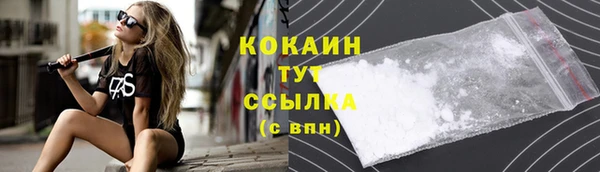 spice Богородицк