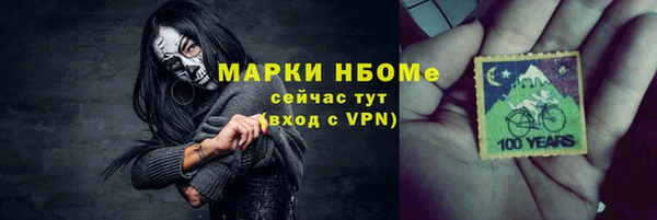 стаф Верея