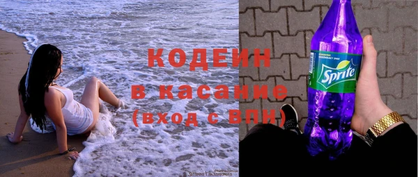 прущие грибы Кулебаки