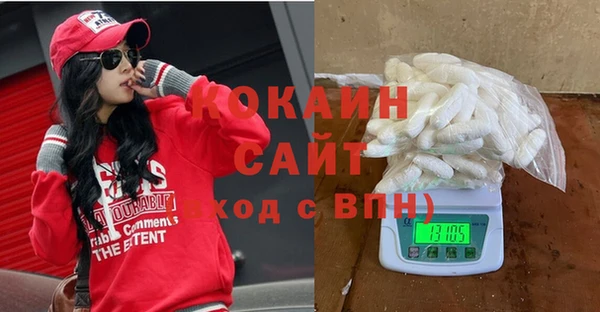стаф Верея
