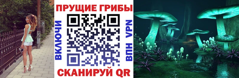 Псилоцибиновые грибы MAGIC MUSHROOMS  Видное 