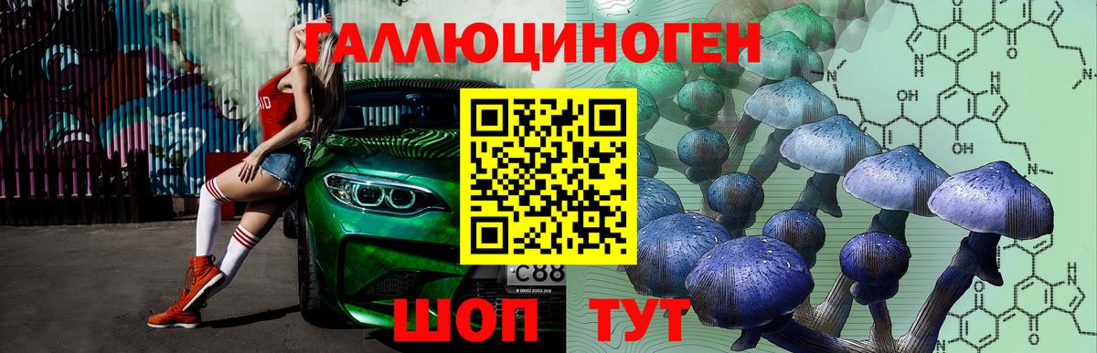 Видное  Псилоцибиновые грибы Cubensis  Вход с VPN  Псилоцибиновые грибы Psilocybe 